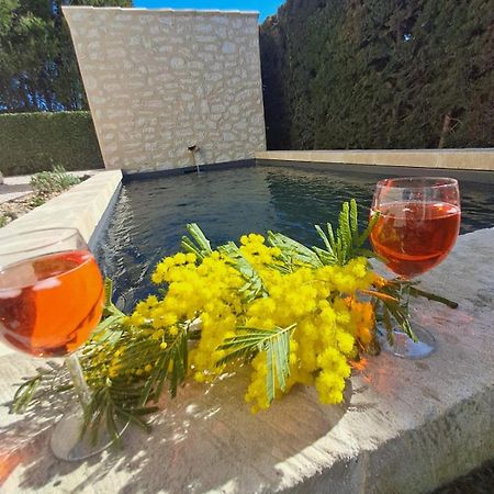 La Maison De Manon, 4-5Personnes, 75M2, Centre Village Avec Piscine Privee Моссан-лез-Альпій Екстер'єр фото